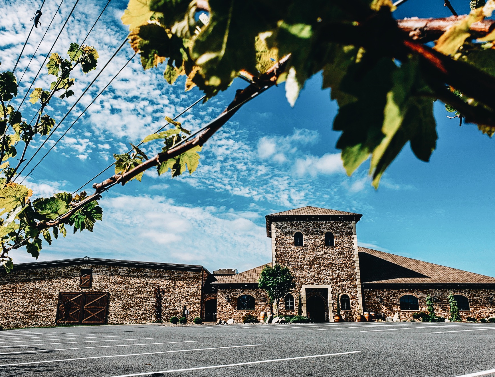 Folino Estate Winery Reviews