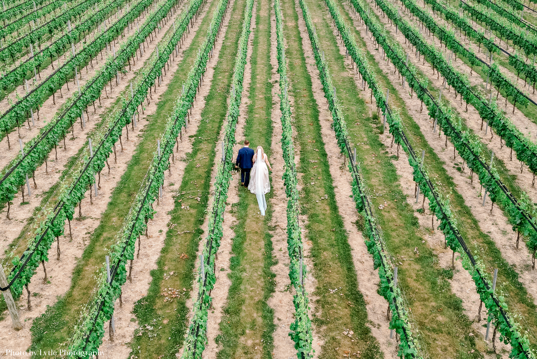 vineyard-drone-wedding-bride-couple--Lytle-Photography-Company Folino Estate Weddings