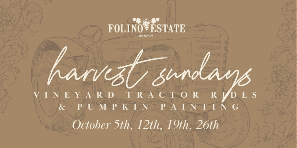 Harvest Sundays '25