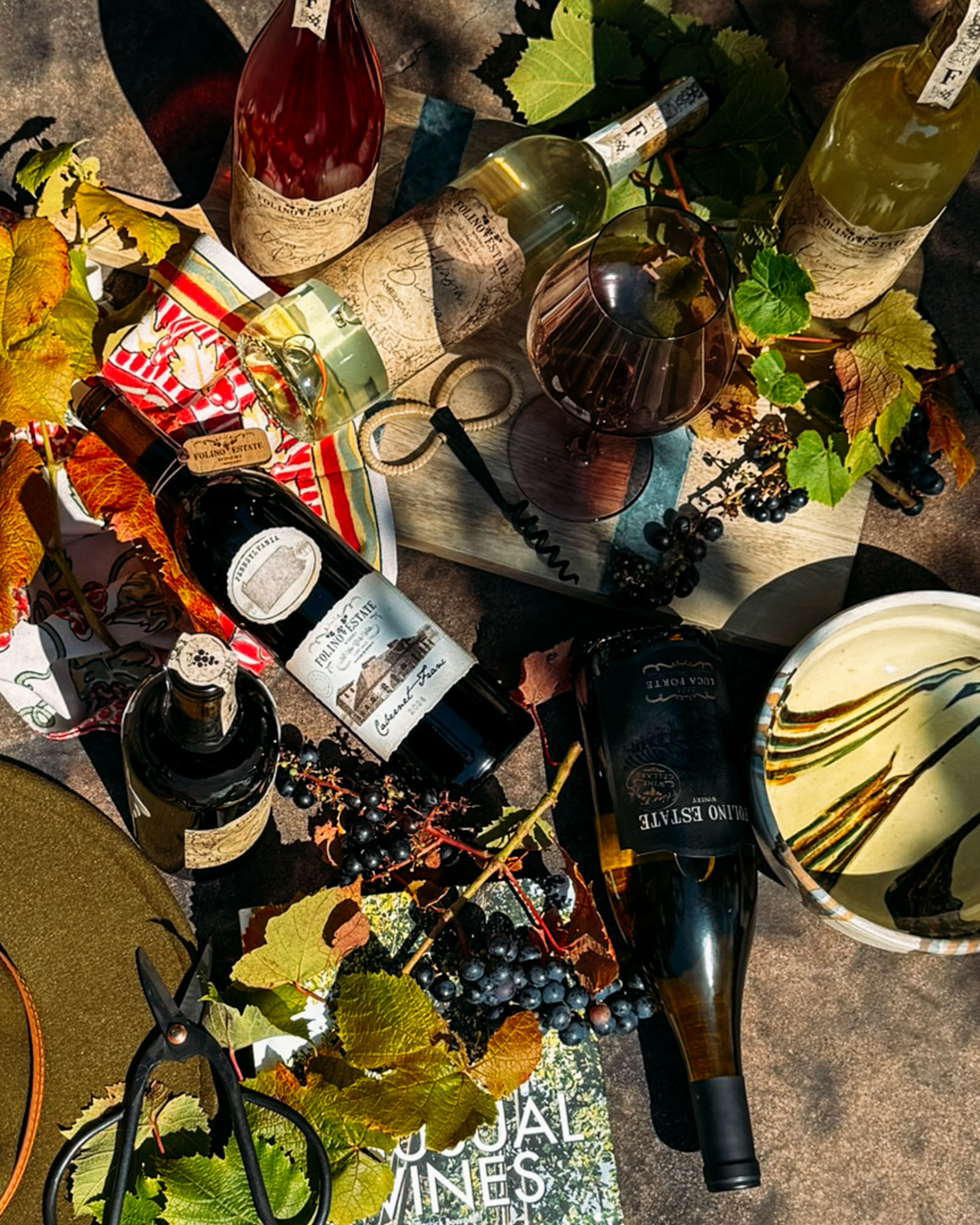 Folino Estate Fall Sommelier Allocation